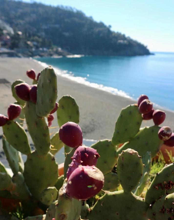 Il Nido Da Chiara Hotell La Spezia Eksteriør bilde